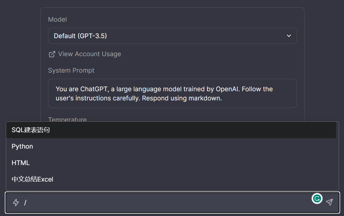 prompt-usage